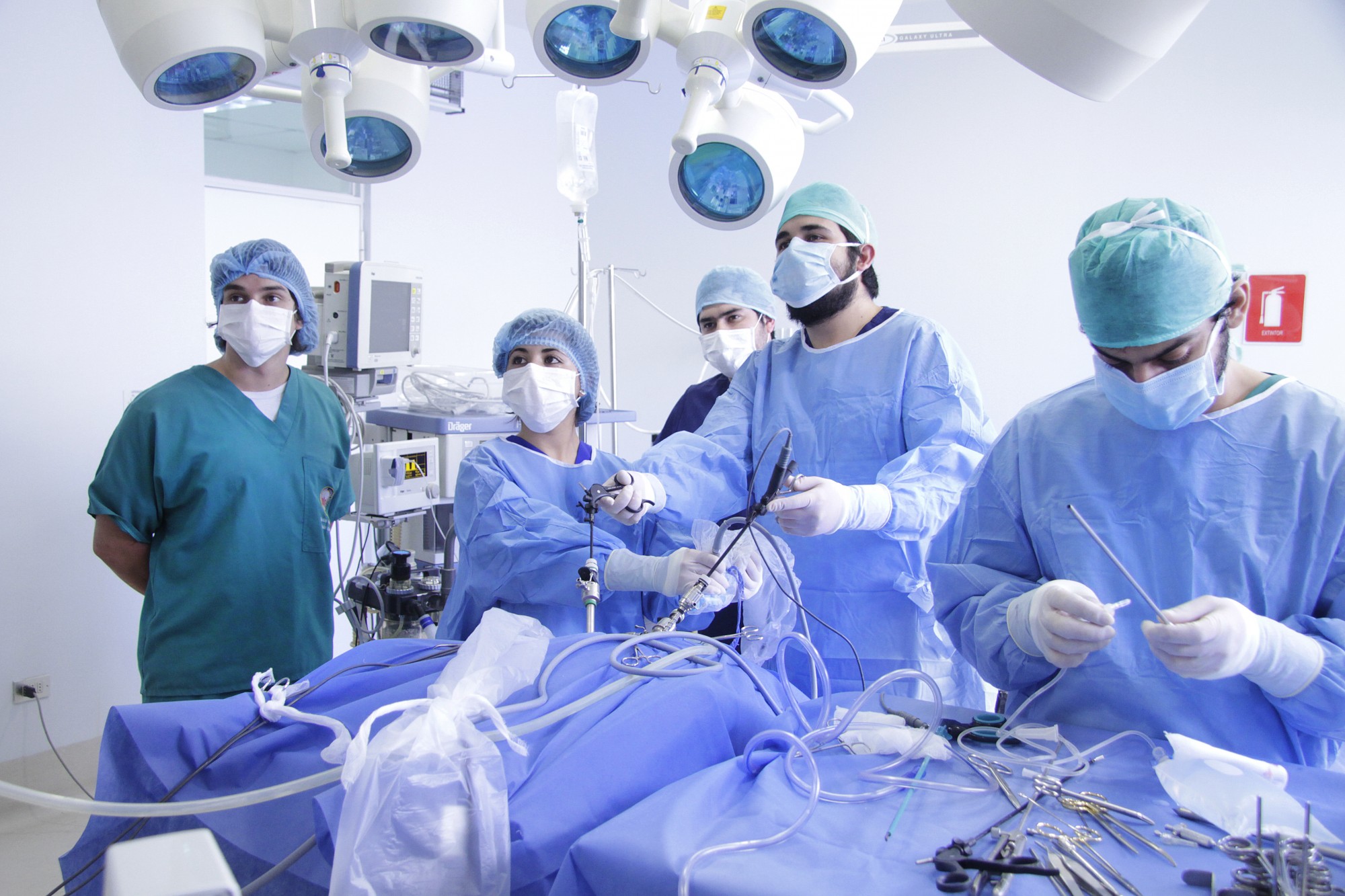 Medicina Veterinaria