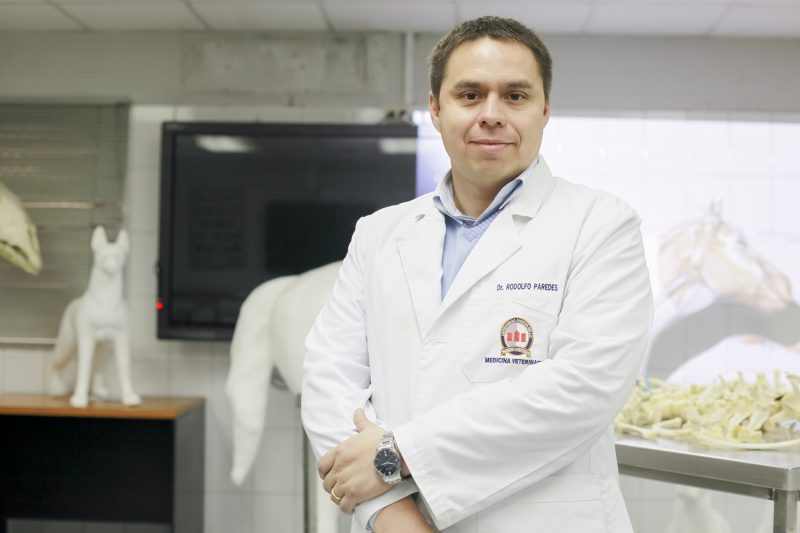 Veterinary doctor in a white lab coat standing in a clinic with arms crossed and a friendly smile.