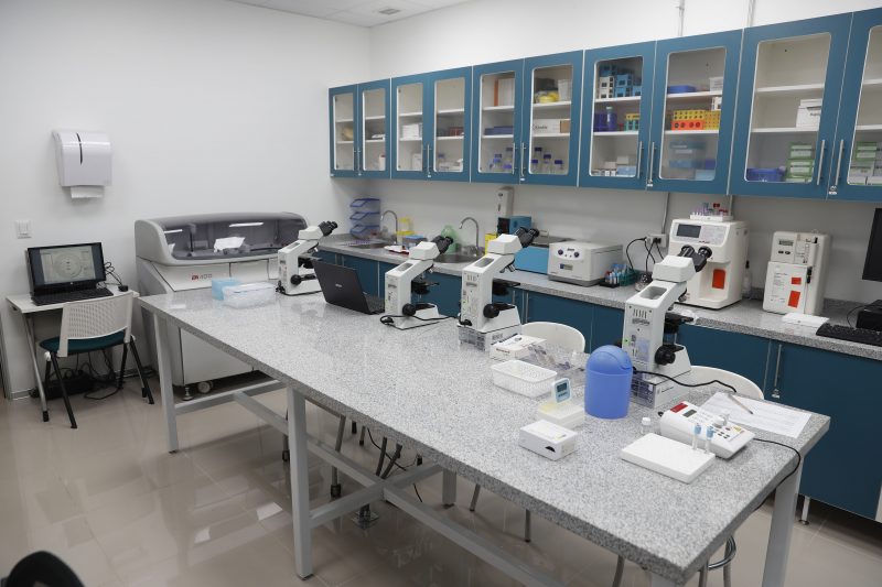 HCV Colina - Hospital de Animales Pequeños (7)