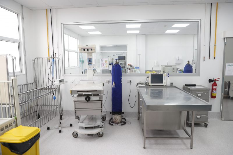 HCV Colina - Hospital de Animales Pequeños (9)