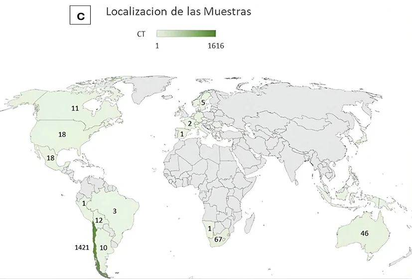Figura 3C_mapa_C